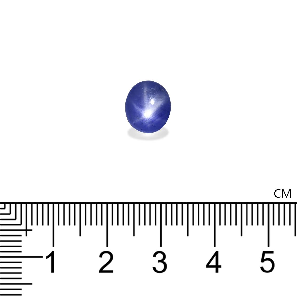 Blue Star Sapphire 3.92 ct